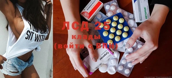 шишки Абинск