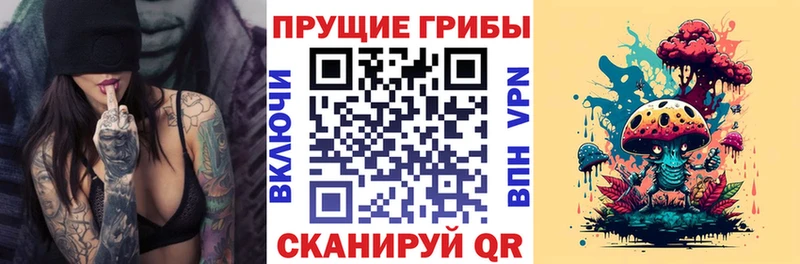 Псилоцибиновые грибы мухоморы Абаза